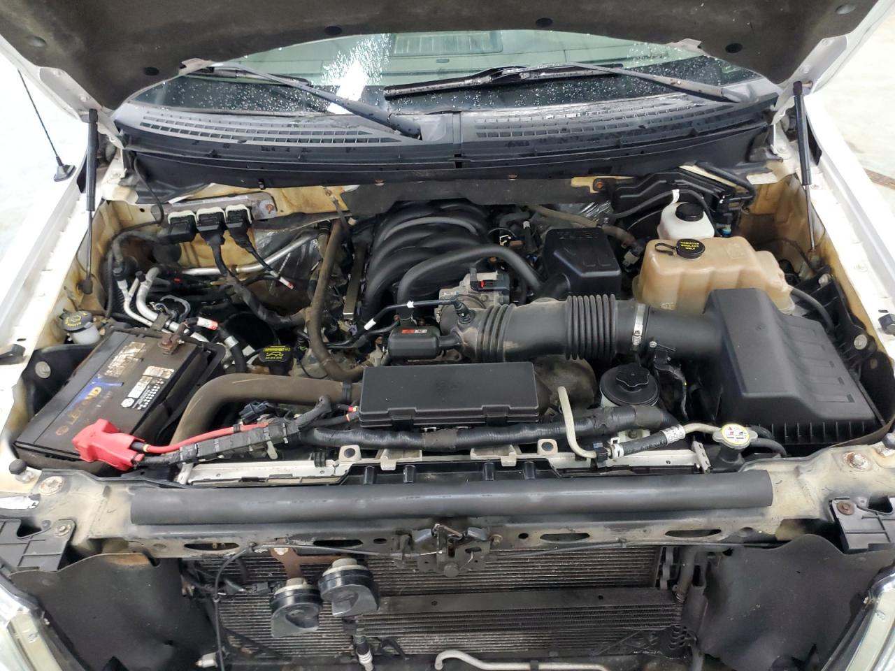 1FTEX1E83AFC63832 2010 Ford F150 Super Cab