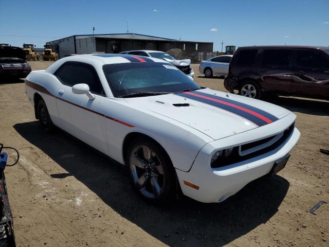 2013 Dodge Challenger R/T VIN: 2C3CDYBT4DH651113 Lot: 54446334