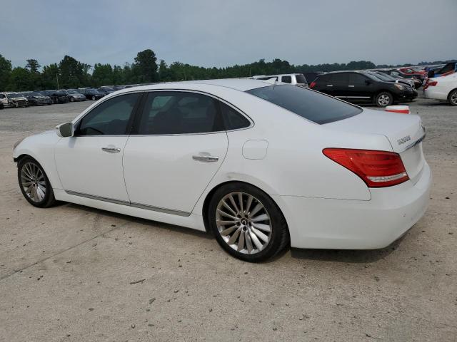 2014 Hyundai Equus Signature VIN: KMHGH4JH2EU074406 Lot: 56943714