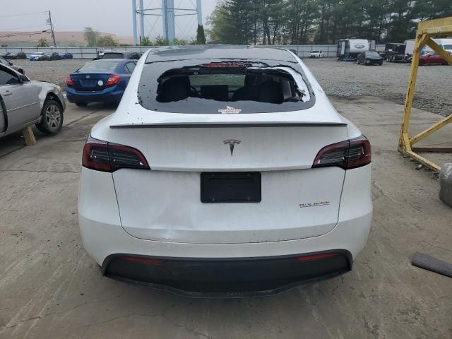 2023 Tesla Model Y VIN: 7SAYGDEF3PF806514 Lot: 53166864