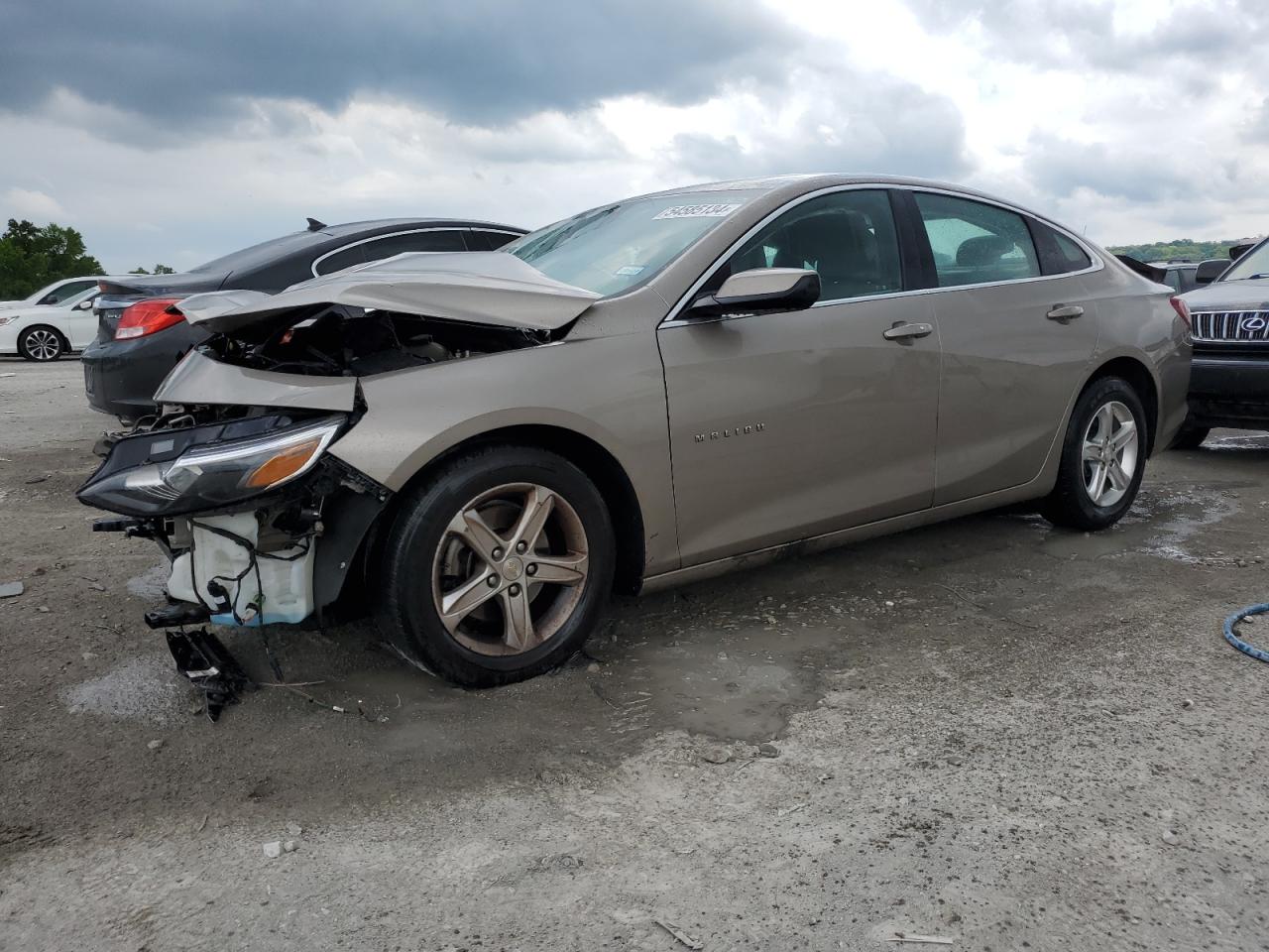 Lot #2970029878 2022 CHEVROLET MALIBU LT