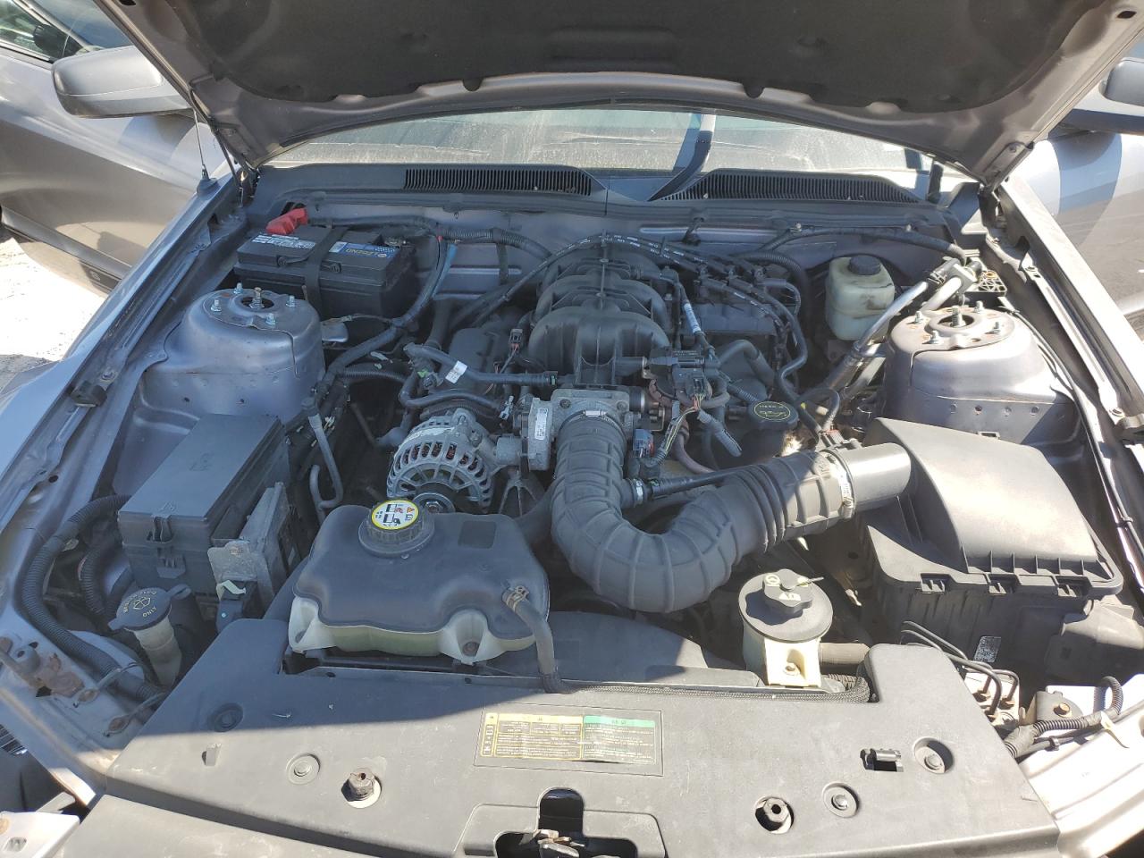 1ZVFT80N775261373 2007 Ford Mustang