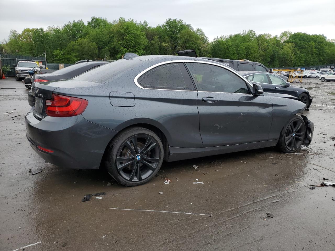 2015 BMW 228 Xi Sulev vin: WBA1G9C56FVX96788