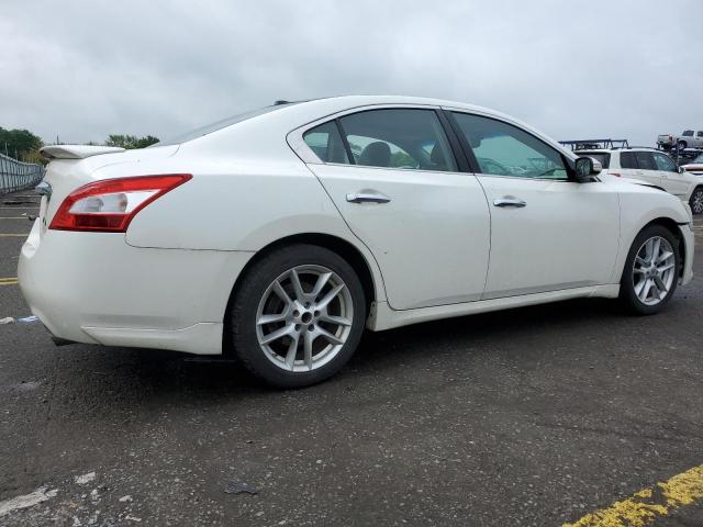 2010 Nissan Maxima S VIN: 1N4AA5AP3AC823313 Lot: 52357554