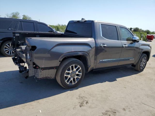 2022 Toyota Tundra Crewmax Platinum VIN: 5TFMA5DB2NX013502 Lot: 56251464