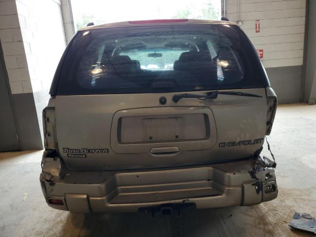 2003 Chevrolet Trailblazer VIN: 1GNDS13SX32327567 Lot: 54551074
