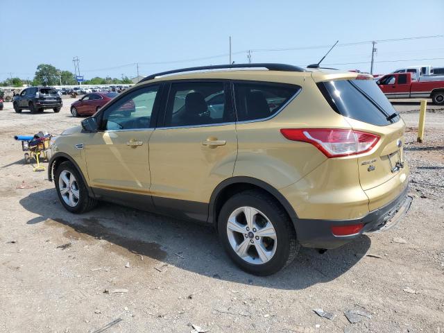 2014 Ford Escape Se VIN: 1FMCU0GX5EUC20976 Lot: 52878894