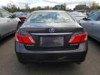 LEXUS ES 350 photo