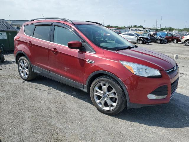 2014 Ford Escape Se VIN: 1FMCU0GX5EUA12242 Lot: 55230264