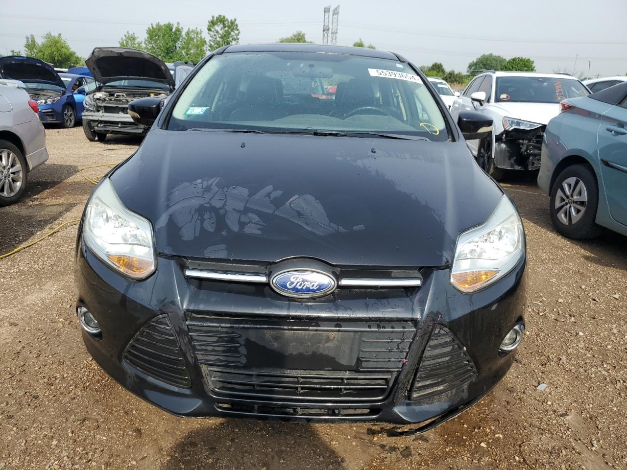 Lot #2558267032 2013 FORD FOCUS SE