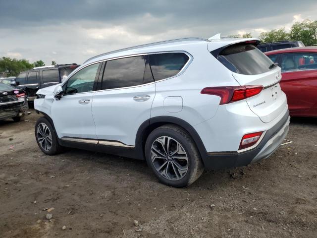 2020 Hyundai Santa Fe Limited VIN: 5NMS5CAA9LH198892 Lot: 53905874