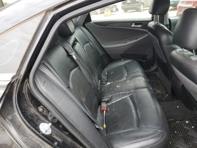 2013 Hyundai Sonata Gls VIN: 5NPEB4AC6DH556838 Lot: 55527264