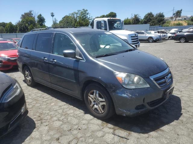 2005 Honda Odyssey Exl VIN: 5FNRL38635B031082 Lot: 56971804