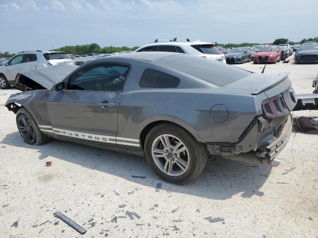 2013 Ford Mustang VIN: 1ZVBP8AM7D5282227 Lot: 54412484