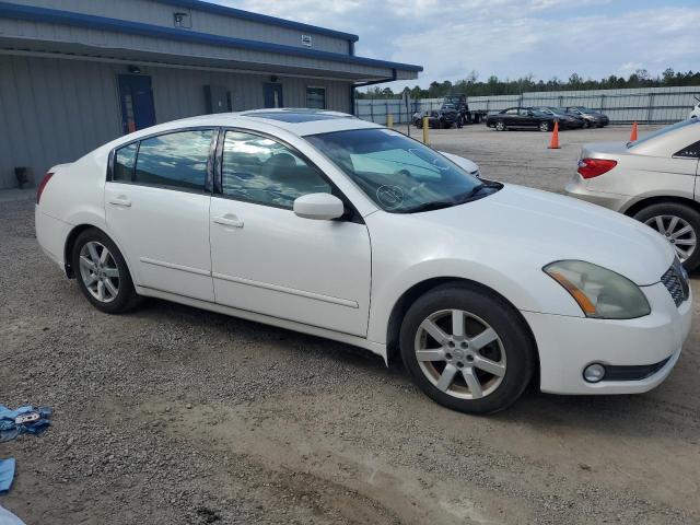 Lot #2508057007 2005 NISSAN MAXIMA SE salvage car