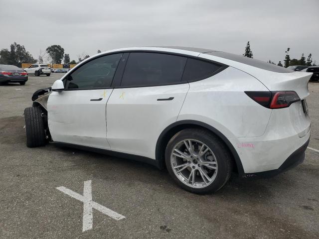 5YJYGDEE4MF071204 2021 Tesla Model Y