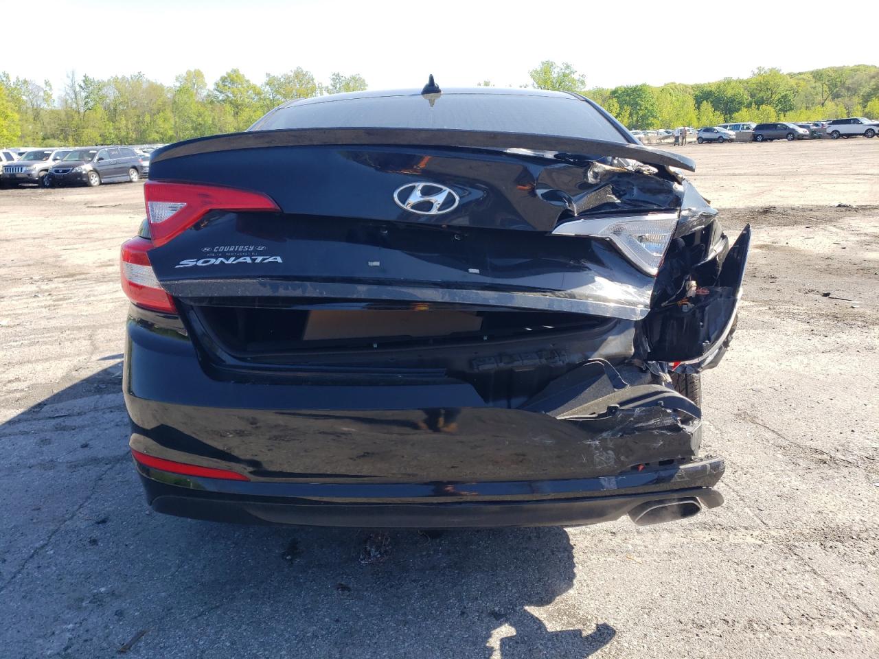 5NPE24AF6GH354158 2016 Hyundai Sonata Se