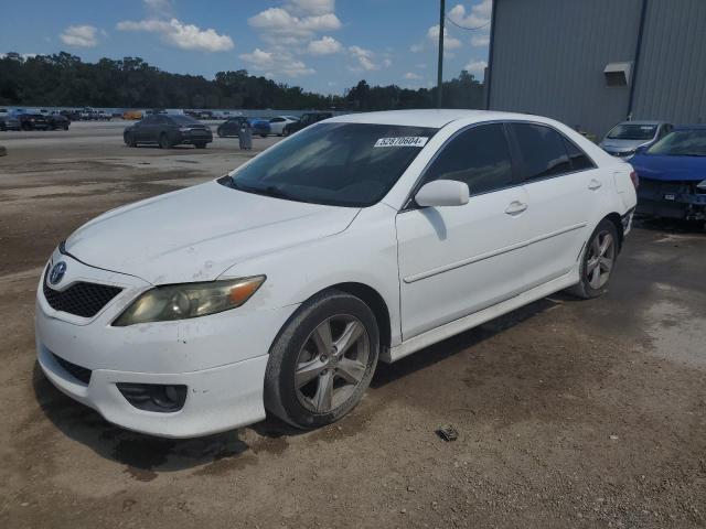 Lot #2508242367 2010 TOYOTA CAMRY BASE salvage car