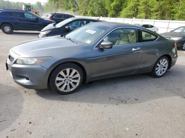 Lot #2518341028 2009 HONDA ACCORD EXL salvage car