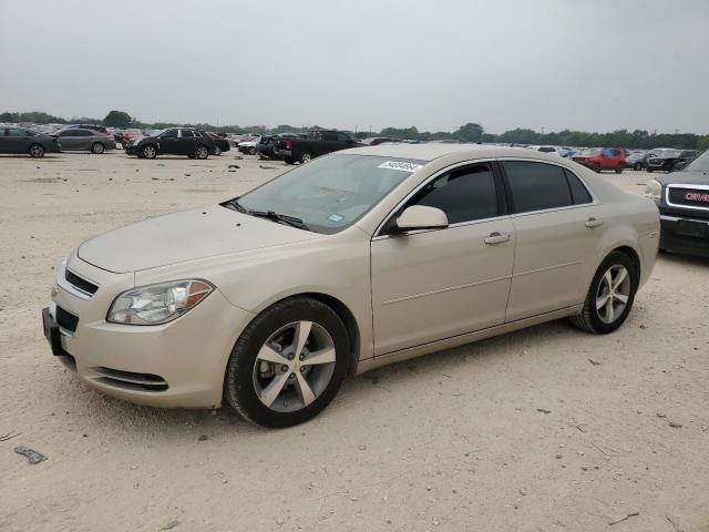 2011 Chevrolet Malibu 1Lt VIN: 1G1ZC5E19BF129389 Lot: 54084664