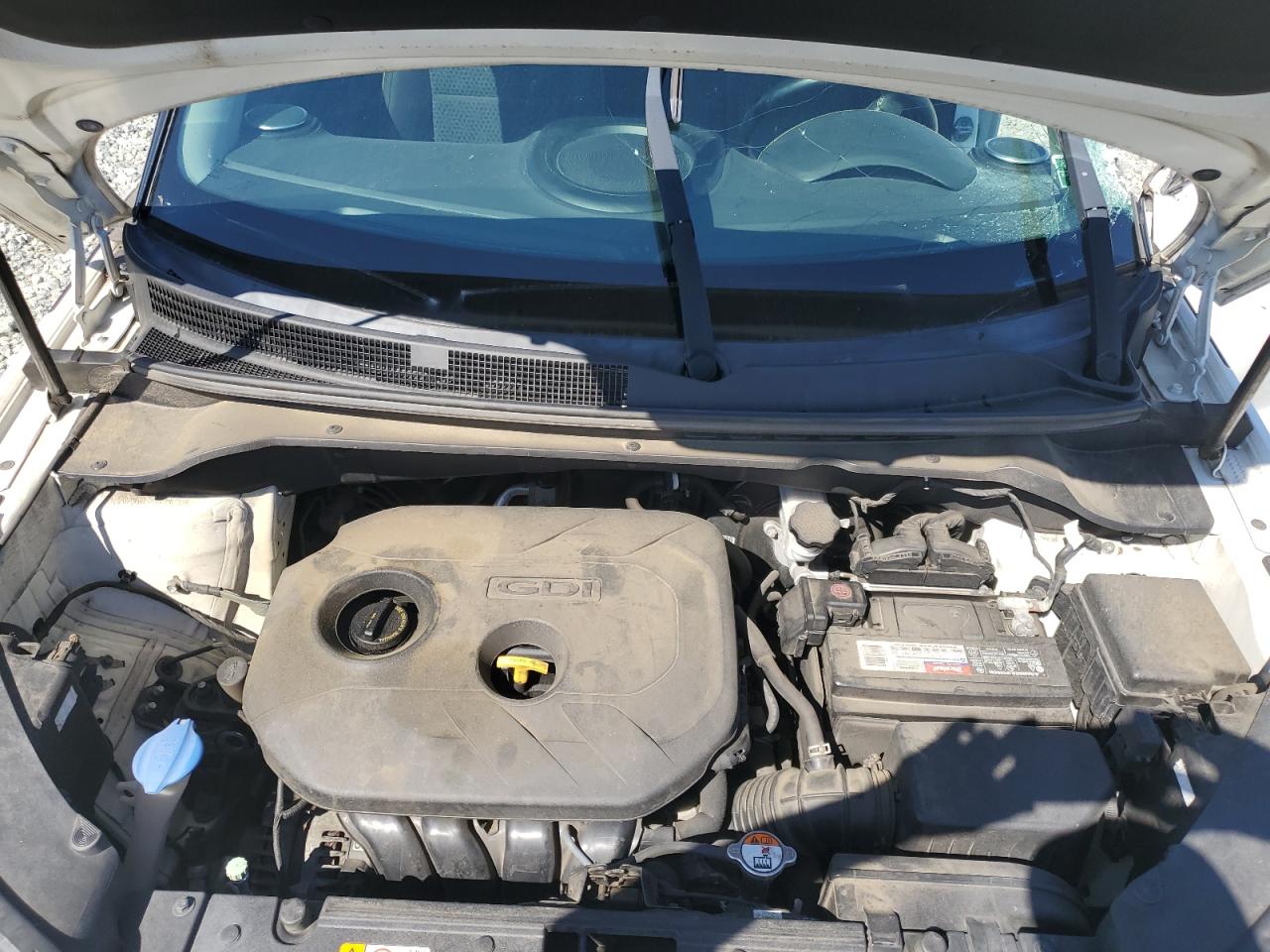 KNDJP3A51G7260419 2016 Kia Soul +