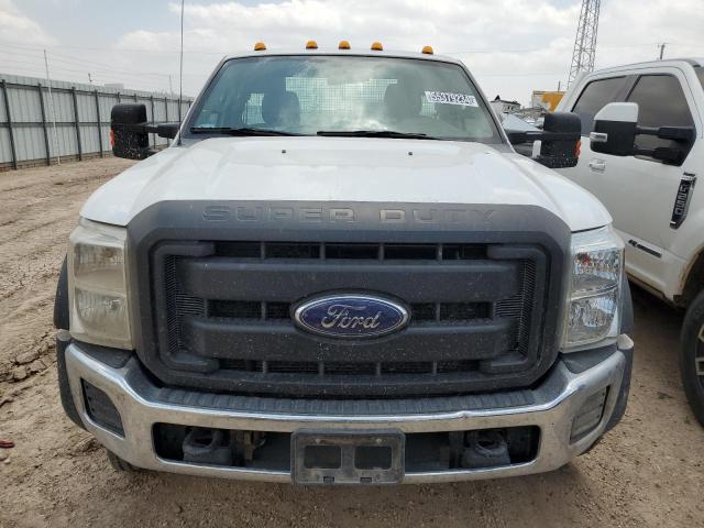 2016 Ford F450 Super Duty VIN: 1FDUF4GT2GEA11307 Lot: 55379234