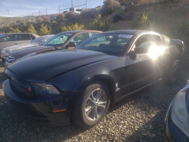 2014 Ford Mustang VIN: 1ZVBP8AM6E5232503 Lot: 50522974