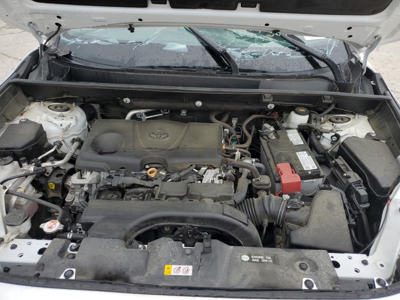 2T3W1RFV8MC114720 2021 Toyota Rav4 Xle