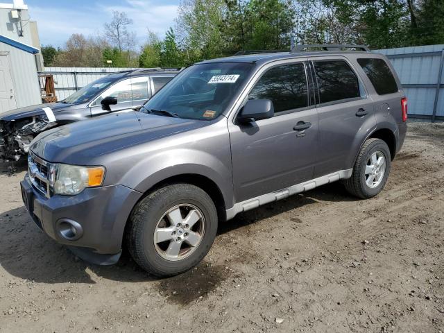 2009 Ford Escape Xlt VIN: 1FMCU93G69KC19556 Lot: 55043714