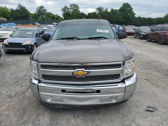 2013 Chevrolet Silverado C1500 VIN: 1GCNCPEX1DZ194924 Lot: 54758834