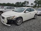 NISSAN MAXIMA S photo