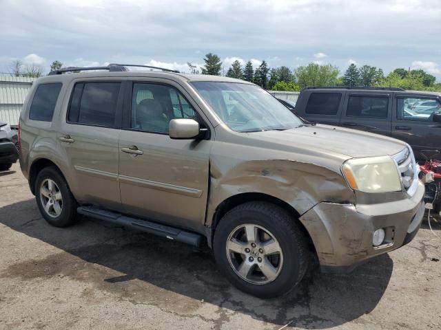 2010 Honda Pilot Exl VIN: 5FNYF4H55AB039615 Lot: 53952424