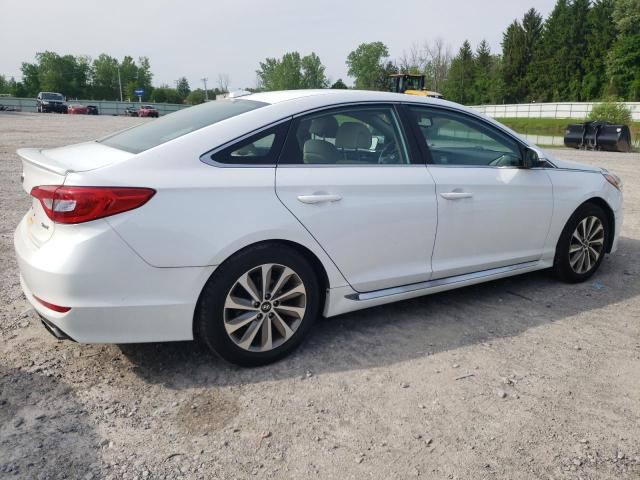 2015 Hyundai Sonata Sport VIN: 5NPE34AF8FH037347 Lot: 55306244