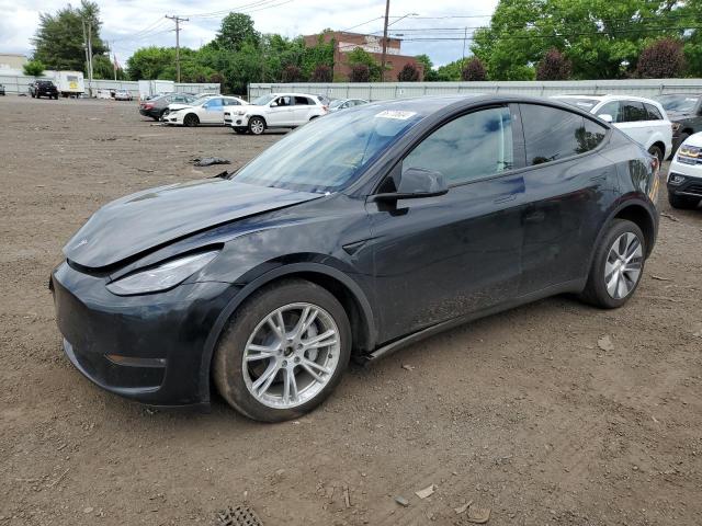 2023 Tesla Model Y VIN: 7SAYGDEE2PF595006 Lot: 56770604