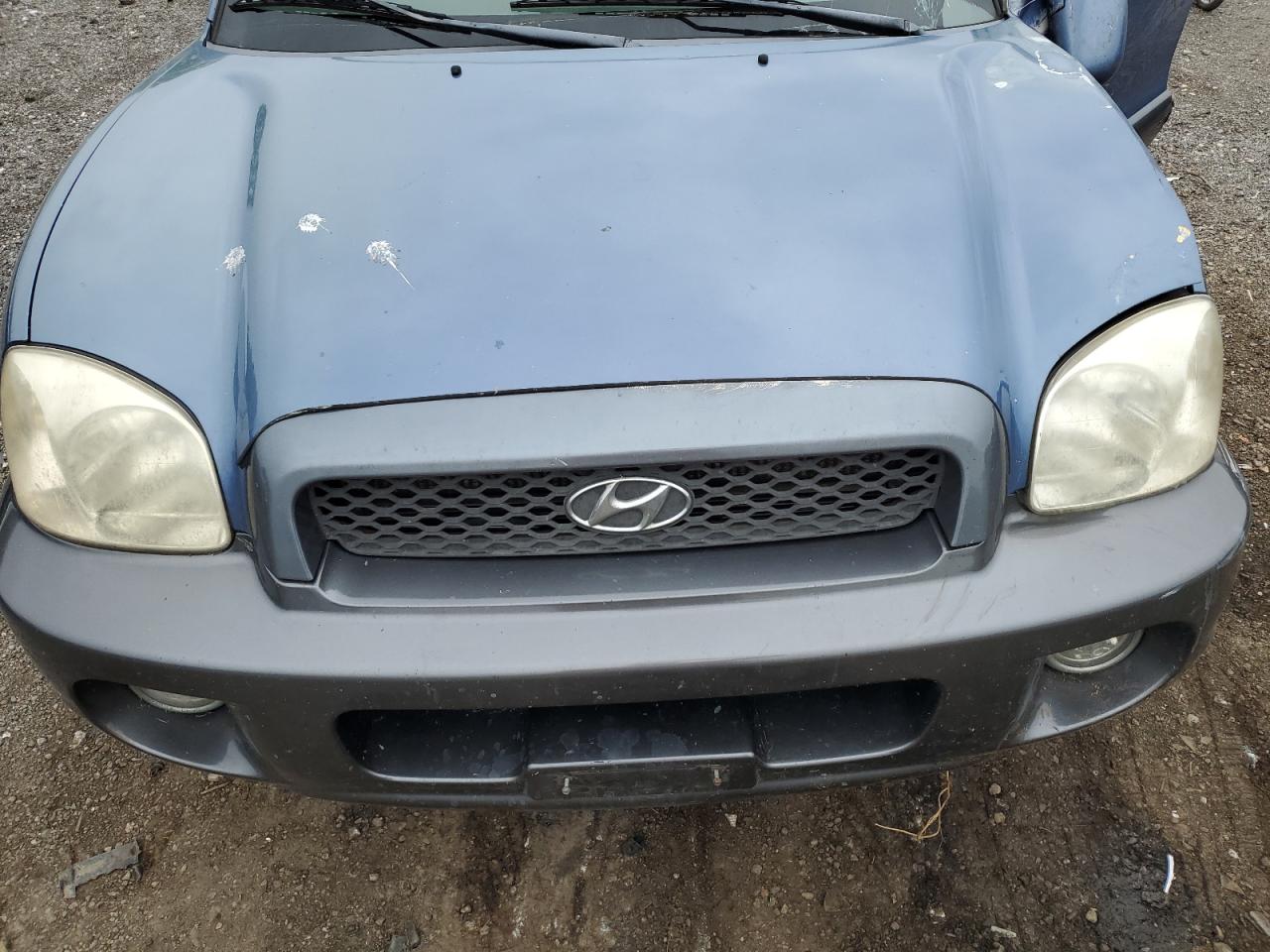 KM8SC13D93U364317 2003 Hyundai Santa Fe Gls