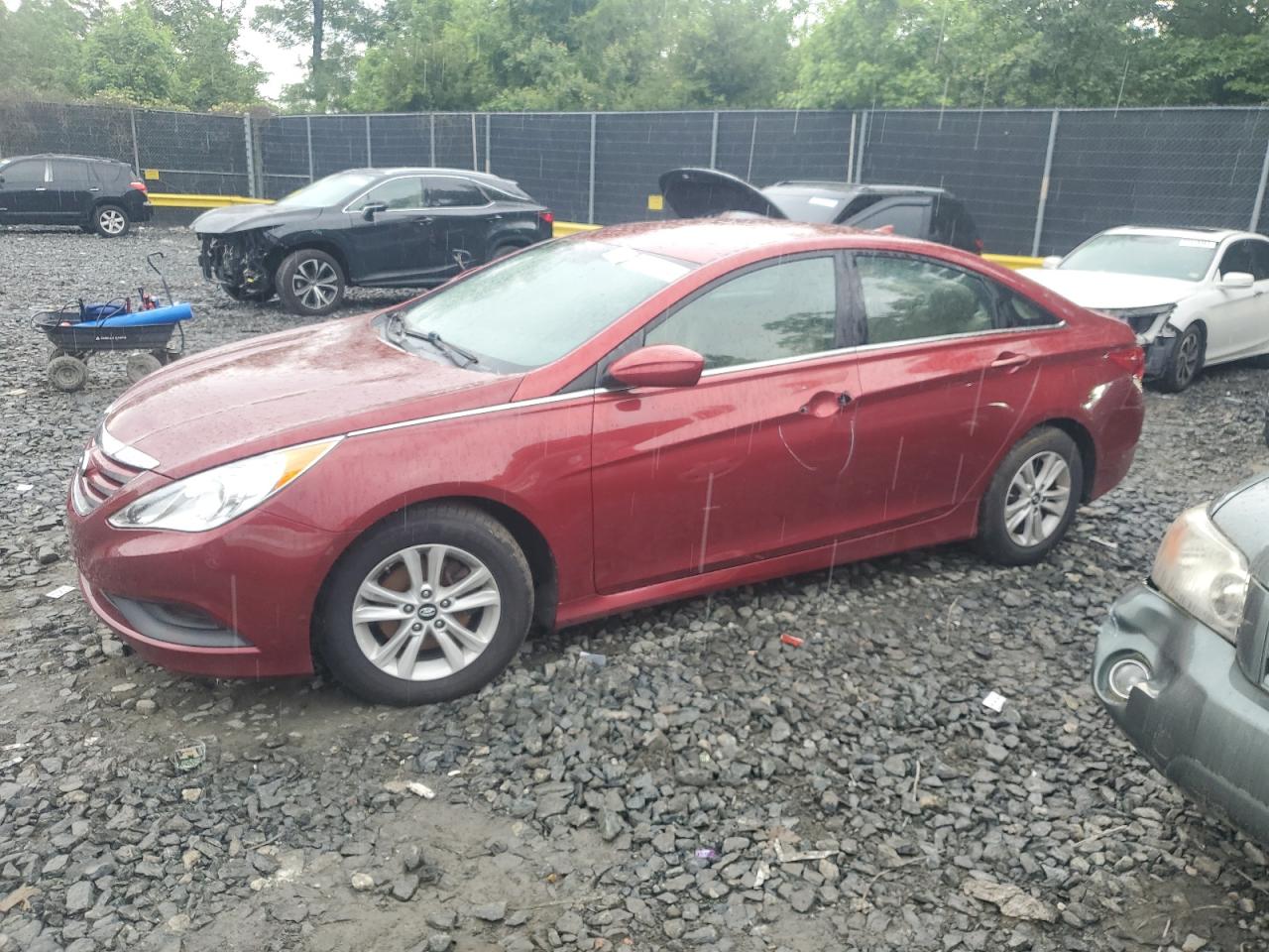 5NPEB4AC9EH910675 2014 Hyundai Sonata Gls