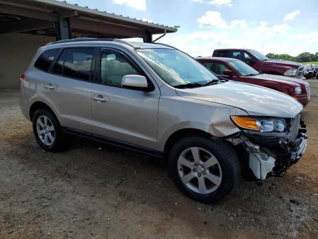 2007 Hyundai Santa Fe Se VIN: 5NMSH13E87H030100 Lot: 55273864