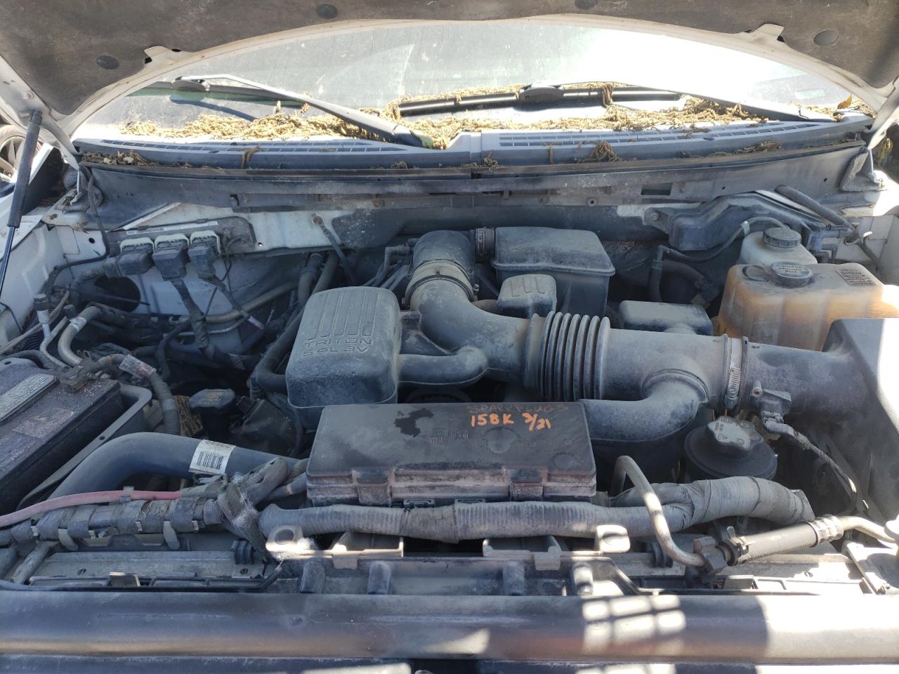 1FTVX1EV7AKE38502 2010 Ford F150 Super Cab