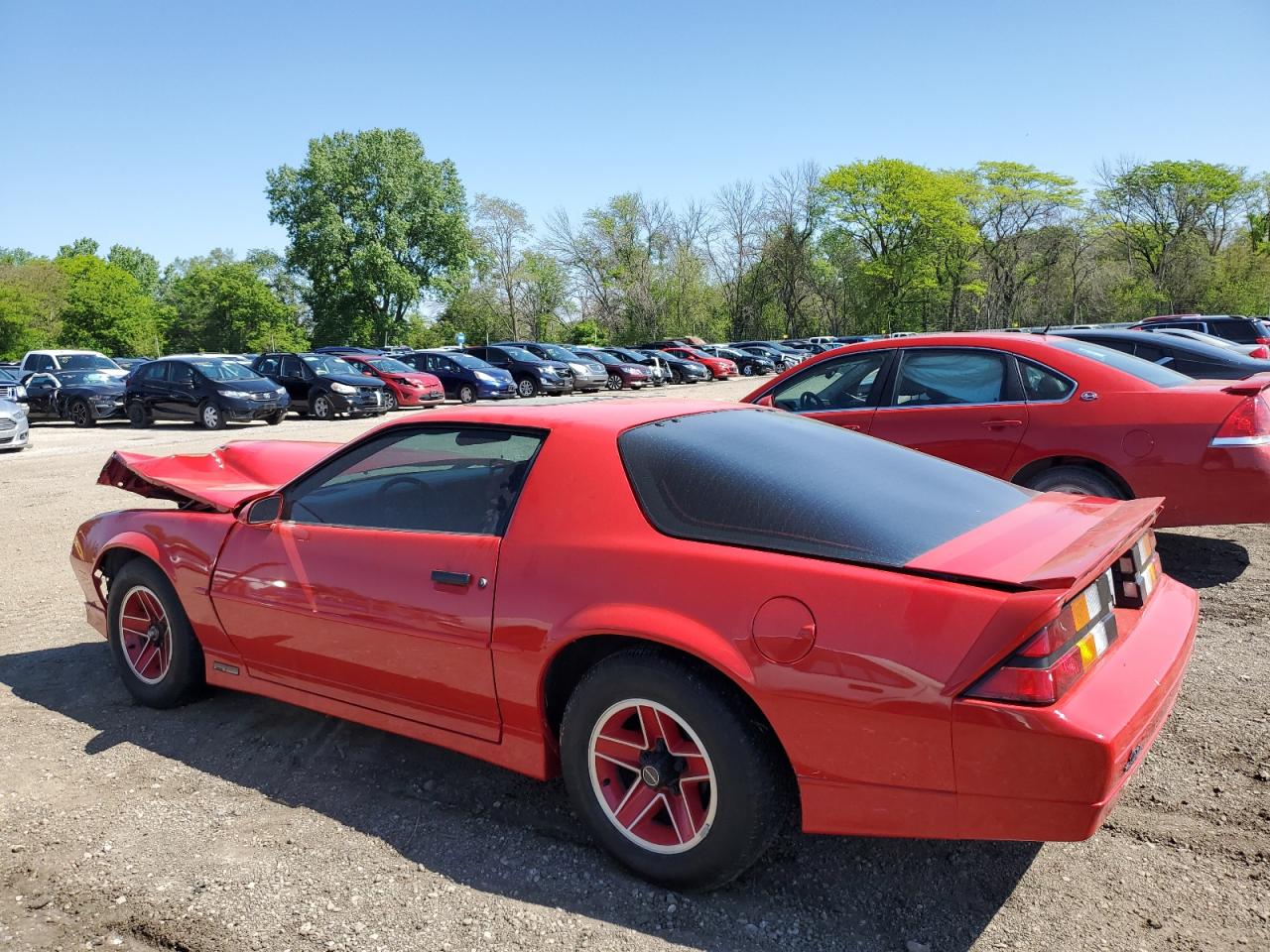 1G1FP21S5KL163884 1989 Chevrolet Camaro