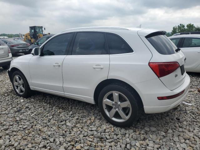 2010 Audi Q5 Premium Plus VIN: WA1LKAFP8AA086486 Lot: 55143344