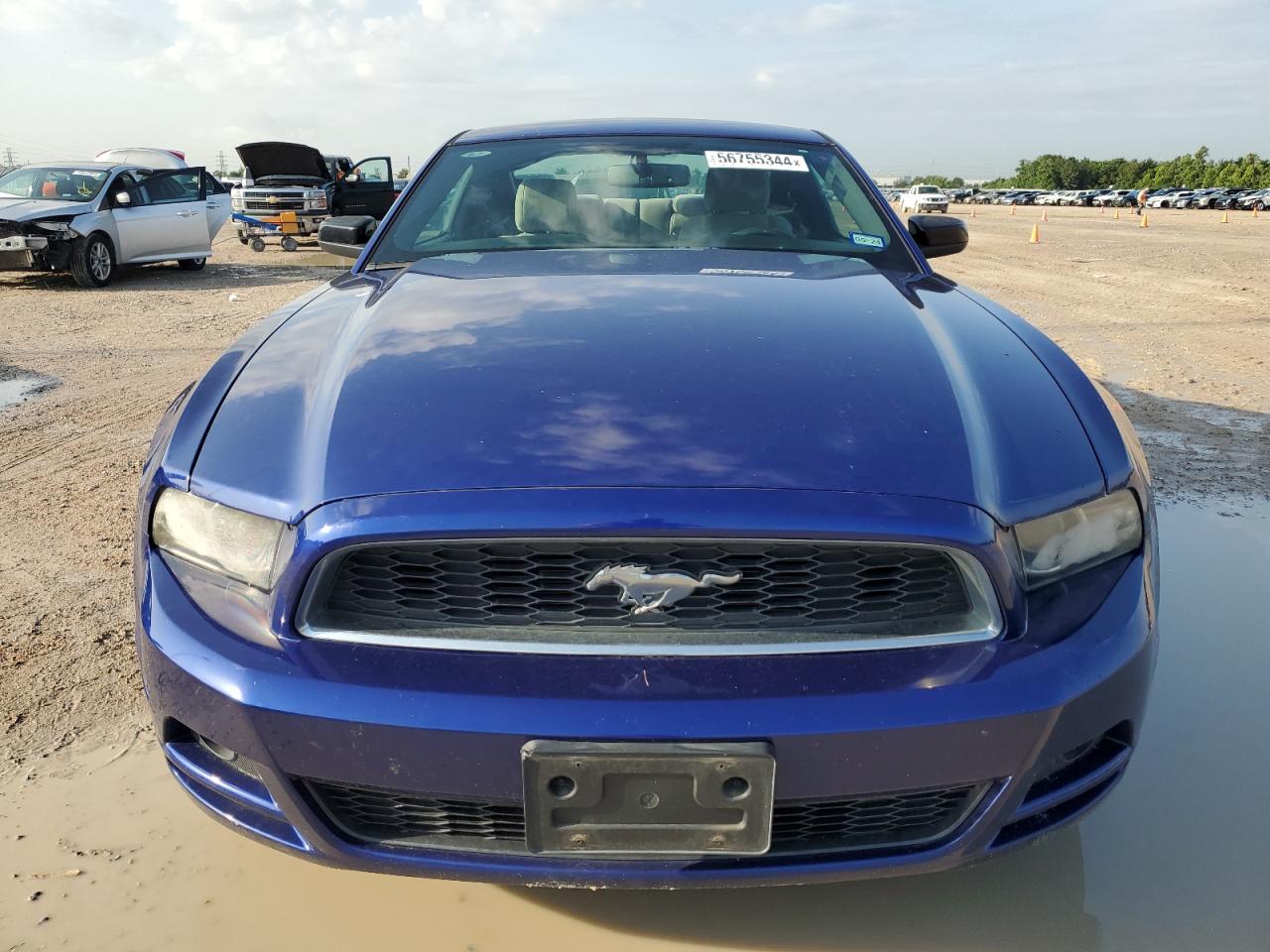 1ZVBP8AM5E5231388 2014 Ford Mustang