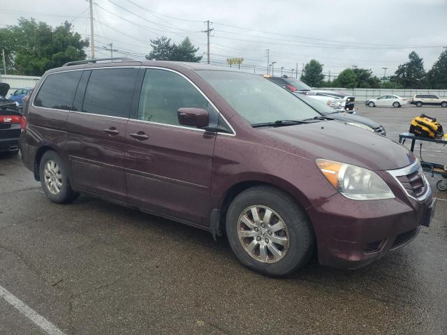 2010 Honda Odyssey Exl VIN: 5FNRL3H78AB080880 Lot: 55083544