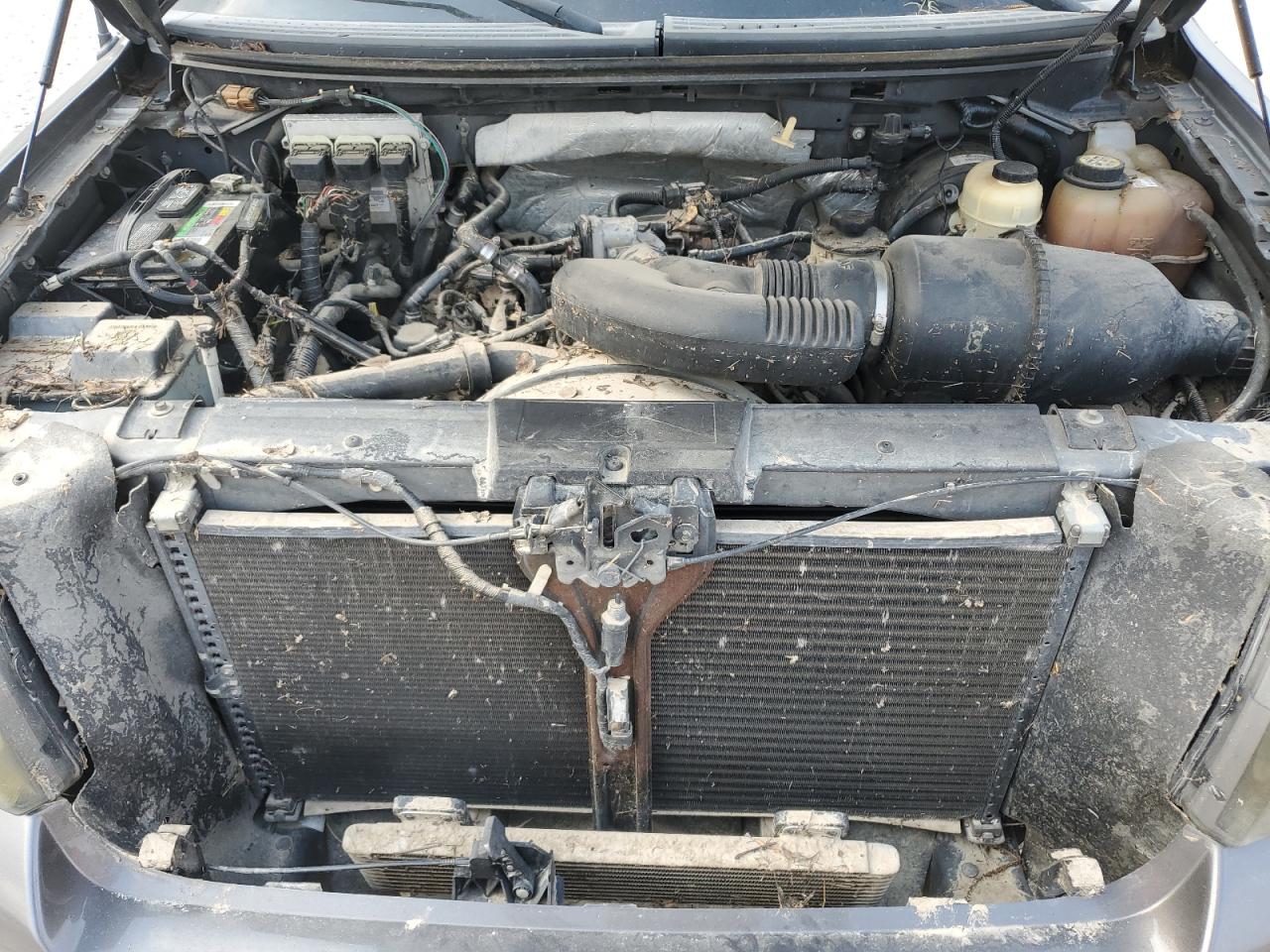 1FTRW12W47KD49982 2007 Ford F150 Supercrew