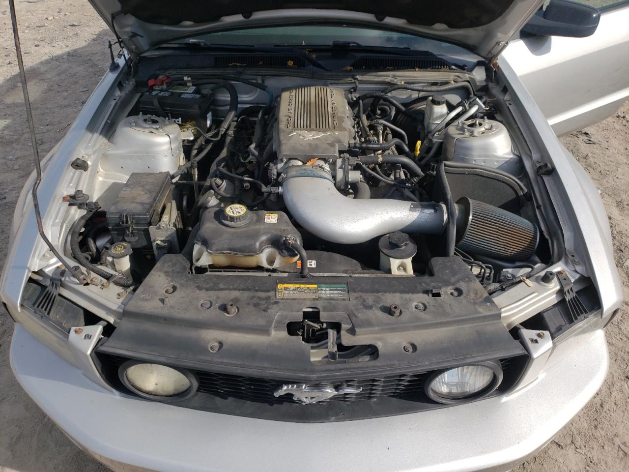 1ZVHT82H495105729 2009 Ford Mustang Gt