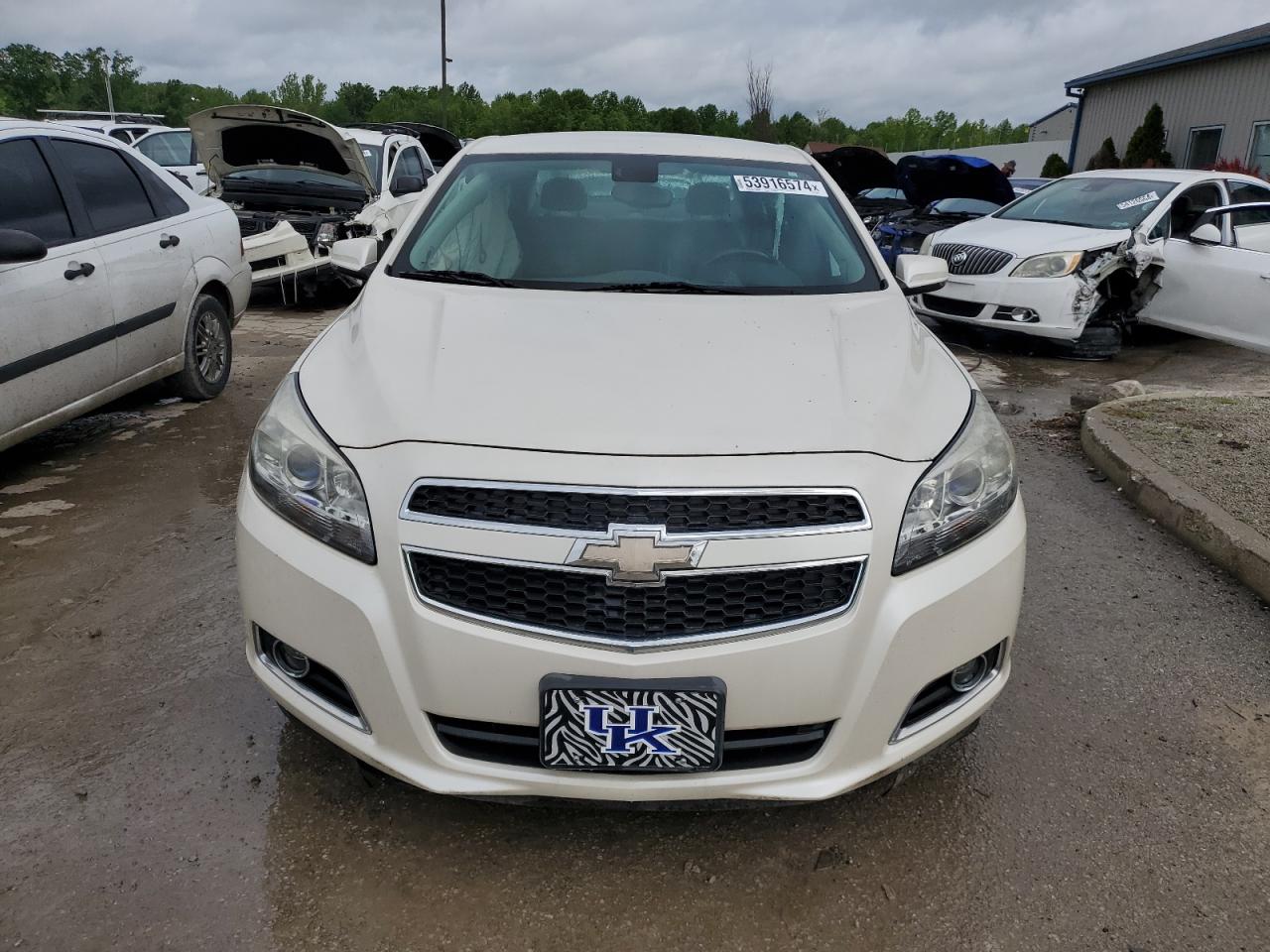 Lot #3025818314 2013 CHEVROLET MALIBU 2LT