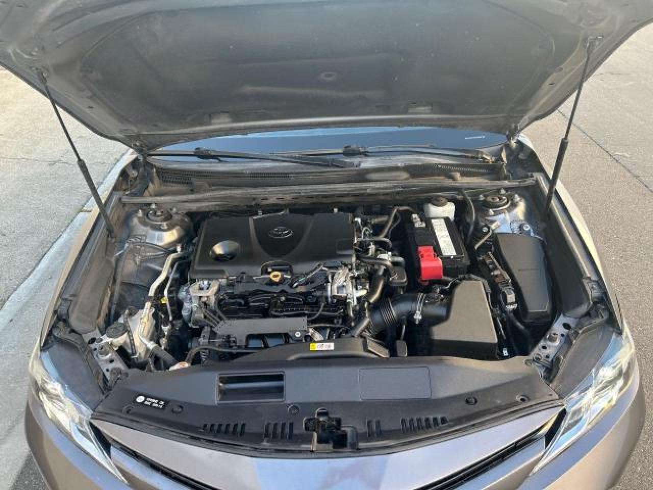 4T1B11HK3KU250602 2019 Toyota Camry L