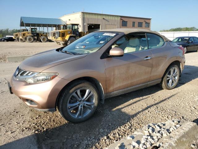 2011 Nissan Murano Crosscabriolet VIN: JN8AZ1FY4BW001752 Lot: 55134694