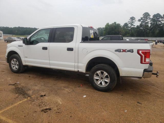 2017 FORD F150 SUPER - 1FTEW1EG6HFC36600