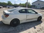 Lot #3038099191 2007 TOYOTA SCION TC