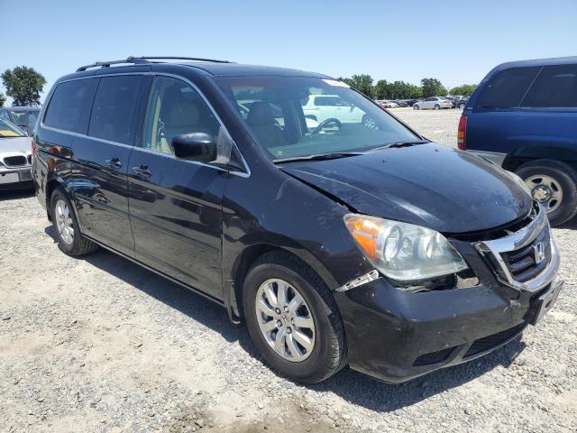 2009 Honda Odyssey Exl VIN: 5FNRL38779B002070 Lot: 53466344